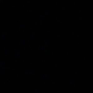 Meet your Posher, Pj